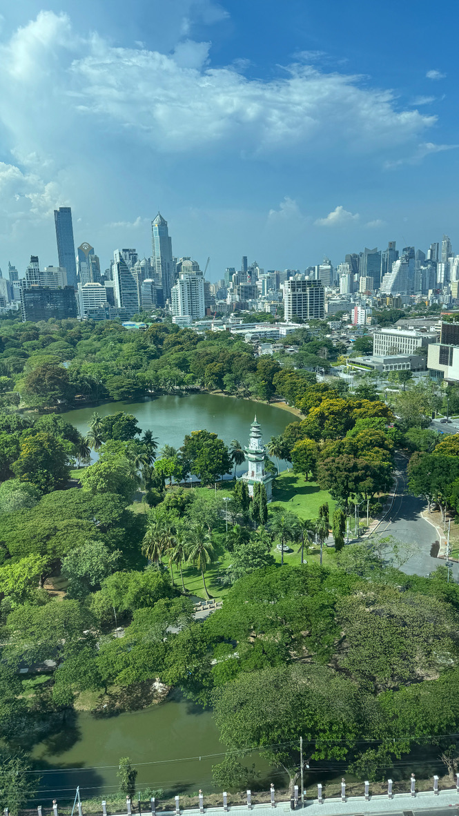 A city skyline above a green park and lake